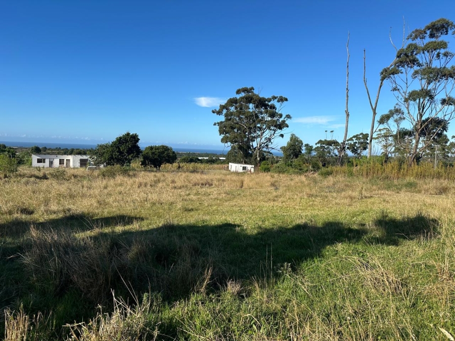 Commercial Property for Sale in Graceland Eastern Cape